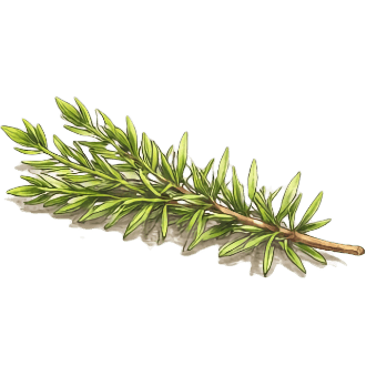 Osteria Cantabrigiana /ingredients/resemary.png