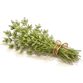 Osteria Cantabrigiana /ingredients/thyme.png